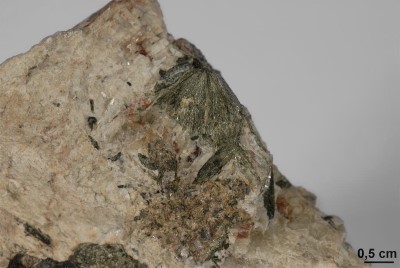 Nephelinsyenitpegmatit