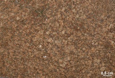 kleinkörniger Rapakiwi-Granit von Nordingrå
