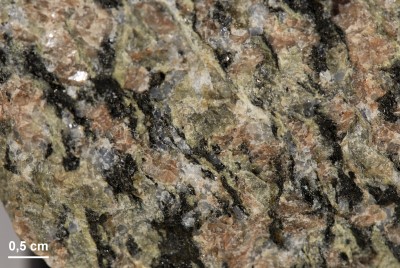 deformierter Barnarp-Granit